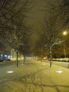 Neige à Lille 214
