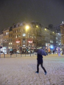 Neige à Lille 227