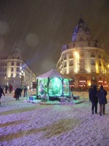 Neige à Lille 228