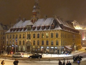 Neige à Lille 231