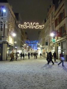 Neige à Lille 236