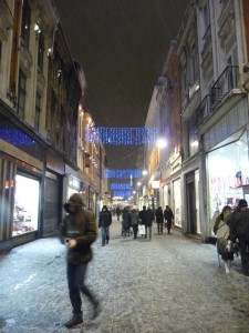 Neige à Lille 238