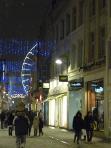 Neige à Lille 239