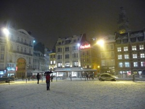 Neige à Lille 241