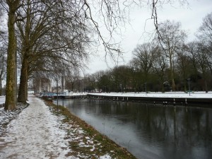Neige à Lille 141
