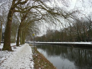 Neige à Lille 142