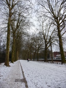 Neige à Lille 143