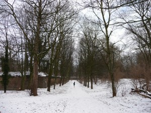 Neige à Lille 146