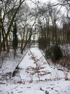 Neige à Lille 148