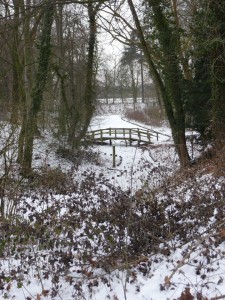 Neige à Lille 149