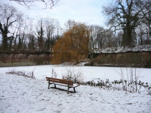 Neige à Lille 150