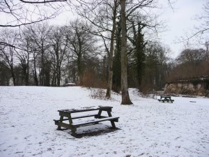 Neige à Lille 151