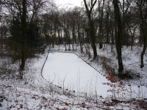 Neige à Lille 152