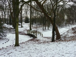 Neige à Lille 153