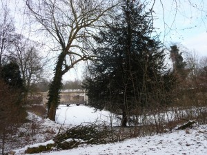 Neige à Lille 154