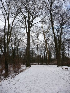 Neige à Lille 156