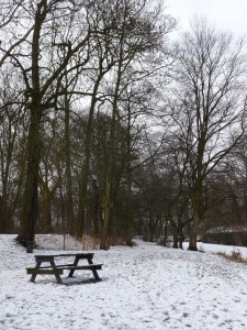 Neige à Lille 159