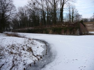Neige à Lille 160