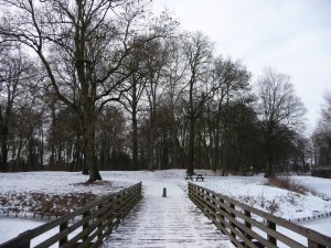 Neige à Lille 162
