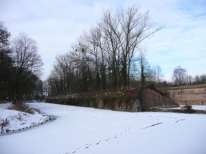 Neige à Lille 163