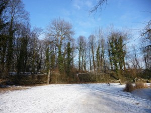 Neige à Lille 168
