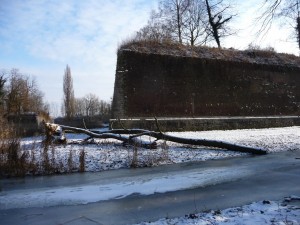 Neige à Lille 169