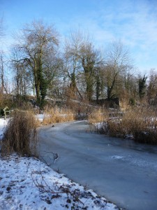 Neige à Lille 170