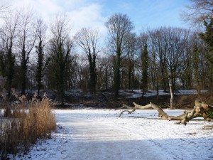 Neige à Lille 171