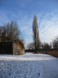 Neige à Lille 172