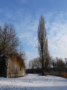 Neige à Lille 173