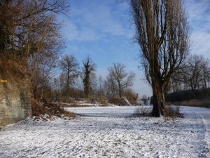 Neige à Lille 174