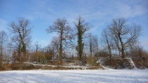 Neige à Lille 178