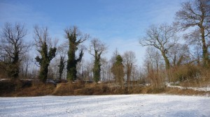 Neige à Lille 179