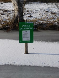 Neige à Lille 180