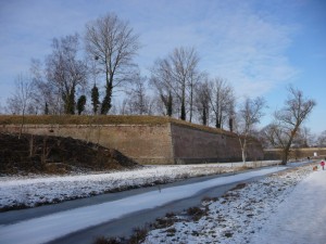Neige à Lille 181