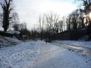 Neige à Lille 182