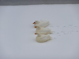 Neige à Lille 105
