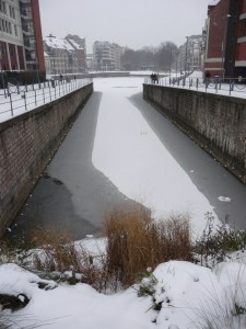 Neige à Lille 106