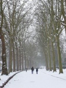 Neige à Lille 114