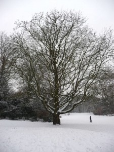 Neige à Lille 57