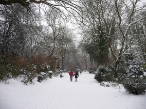 Neige à Lille 58