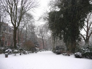 Neige à Lille 59