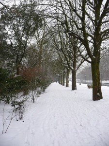 Neige à Lille 62