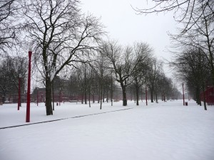 Neige à Lille 80