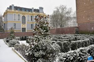 Neige Lille - Janvier 2021 - 02