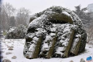 Neige Lille - Janvier 2021 - 03