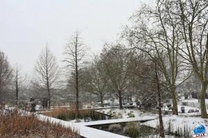 Neige Lille - Janvier 2021 - 04