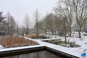 Neige Lille - Janvier 2021 - 05