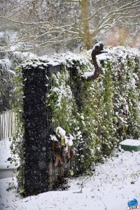 Neige Lille - Janvier 2021 - 06