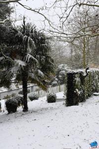 Neige Lille - Janvier 2021 - 07